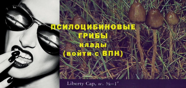 МДПВ Алексин