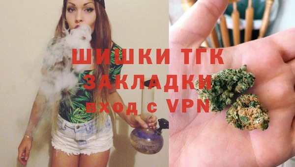 МДПВ Алексин